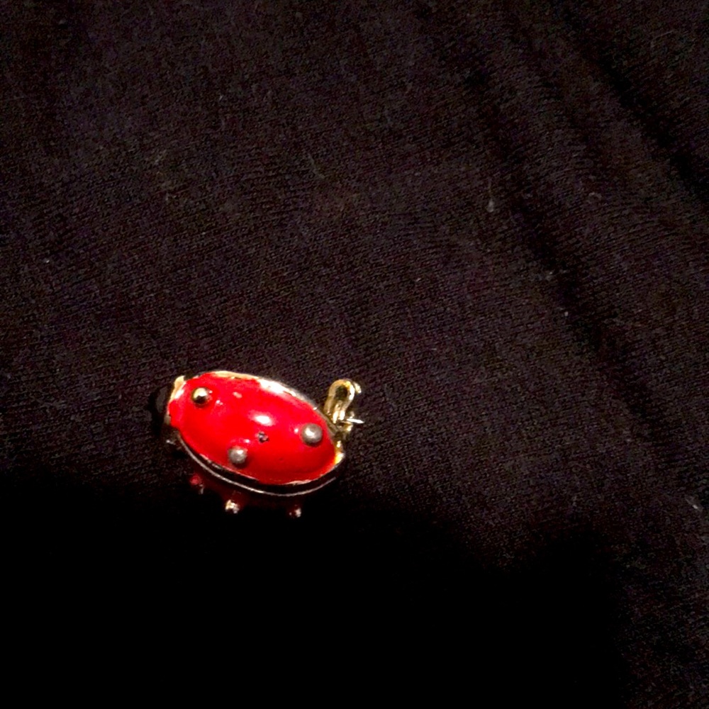 Ladybug Pin
